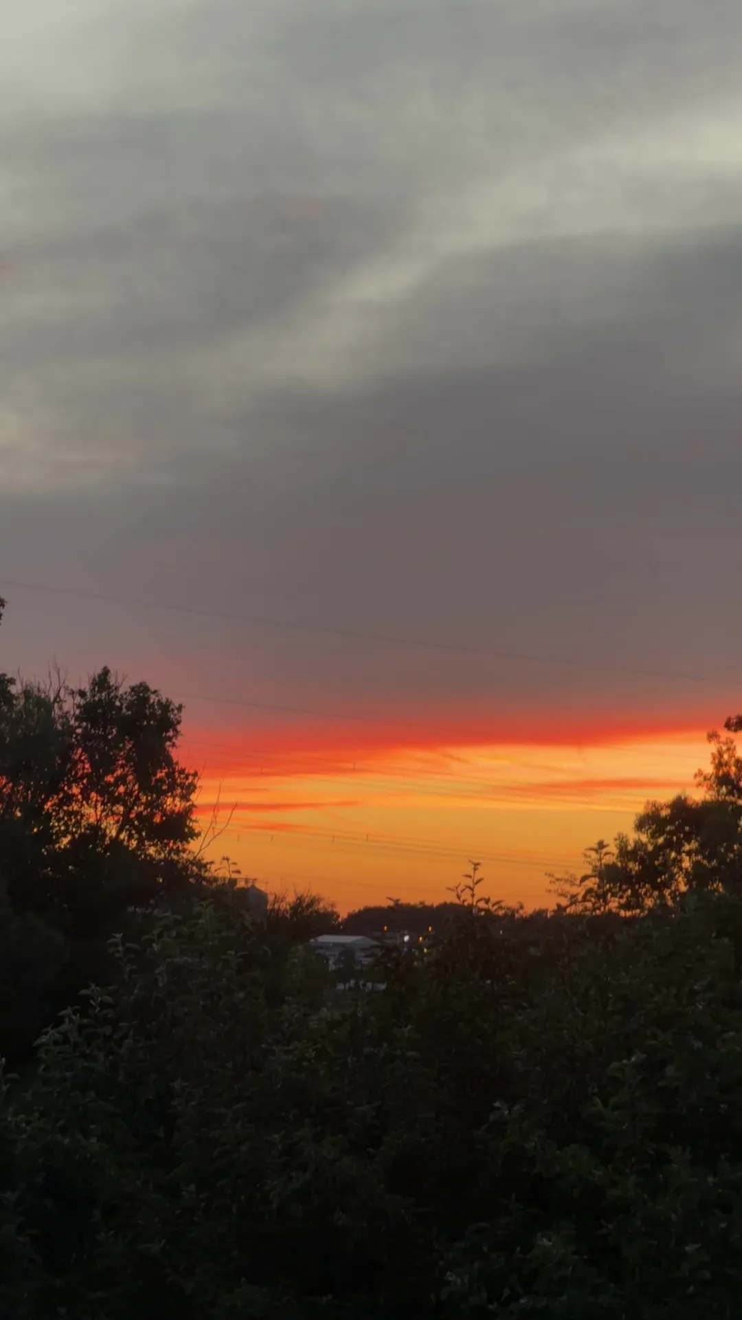 Sonnenuntergang über der Regnitz am Biergarten des Ritter St. Georg in Erlangen