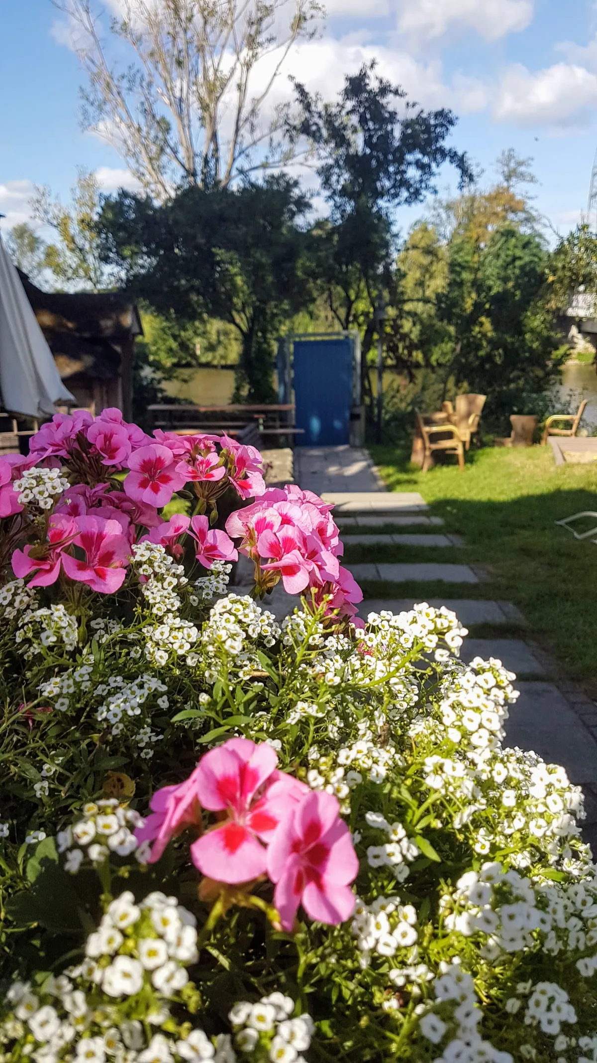 Blumenbeet am Weg zur Regnitz mit Sitzgelegenheiten am Wasser